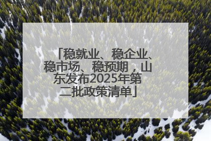 稳就业、稳企业、稳市场、稳预期，山东发布2025年第二批政策清单