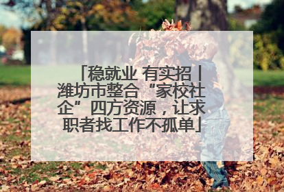 稳就业 有实招丨潍坊市整合“家校社企”四方资源，让求职者找工作不孤单