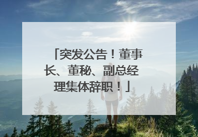 突发公告！董事长、董秘、副总经理集体辞职！