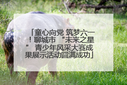 童心向党 筑梦六一！聊城市 “未来之星” 青少年风采大赛成果展示活动圆满成功