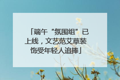 端午“氛围组”已上线，文艺范艾草装饰受年轻人追捧