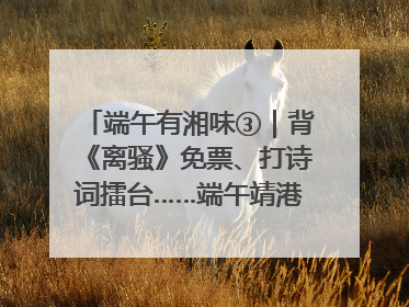 端午有湘味③｜背《离骚》免票、打诗词擂台……端午靖港古镇趣味多