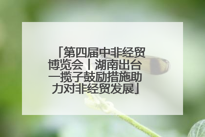 第四届中非经贸博览会丨湖南出台一揽子鼓励措施助力对非经贸发展