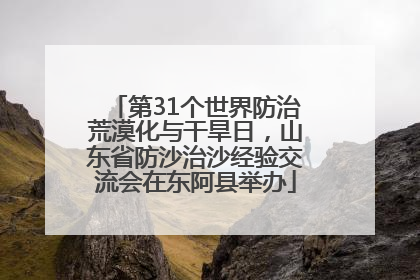 第31个世界防治荒漠化与干旱日，山东省防沙治沙经验交流会在东阿县举办
