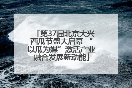 第37届北京大兴西瓜节盛大启幕 “以瓜为媒”激活产业融合发展新动能