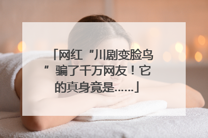 网红“川剧变脸鸟”骗了千万网友！它的真身竟是……