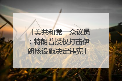 美共和党一众议员：特朗普授权打击伊朗核设施决定违宪