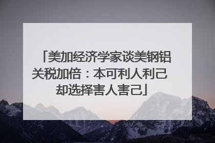 美加经济学家谈美钢铝关税加倍：本可利人利己 却选择害人害己
