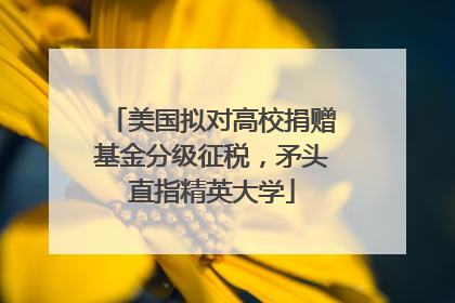 美国拟对高校捐赠基金分级征税，矛头直指精英大学