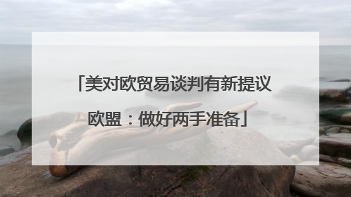 美对欧贸易谈判有新提议 欧盟：做好两手准备