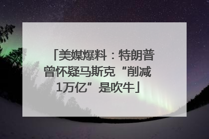 美媒爆料：特朗普曾怀疑马斯克“削减1万亿”是吹牛
