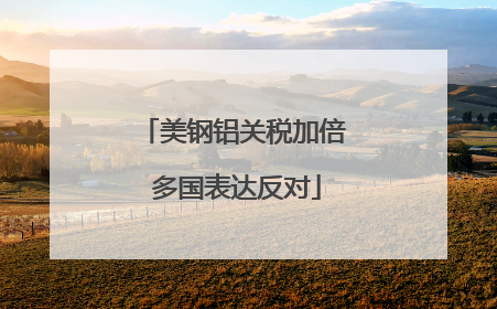 美钢铝关税加倍 多国表达反对