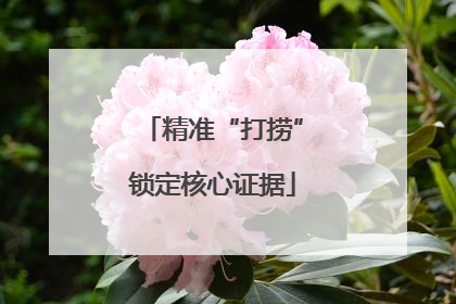 精准“打捞”锁定核心证据