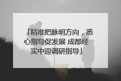 精准把脉明方向，悉心指导促发展 成都经实中迎调研指导