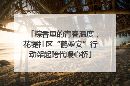 粽香里的青春温度，花堤社区“鹤耋安”行动架起跨代暖心桥