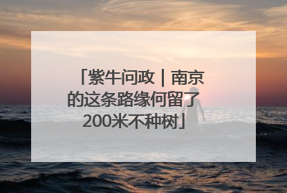 紫牛问政｜南京的这条路缘何留了200米不种树