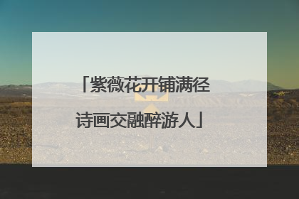 紫薇花开铺满径 诗画交融醉游人
