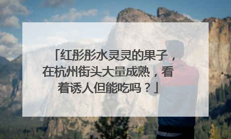 红彤彤水灵灵的果子，在杭州街头大量成熟，看着诱人但能吃吗？