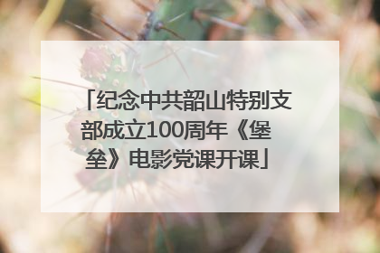 纪念中共韶山特别支部成立100周年《堡垒》电影党课开课