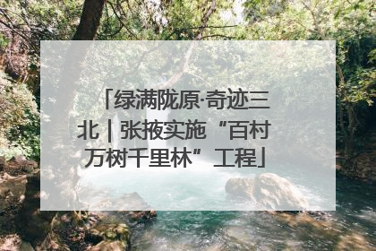 绿满陇原·奇迹三北｜张掖实施“百村万树千里林”工程