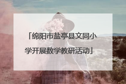 绵阳市盐亭县文同小学开展数学教研活动