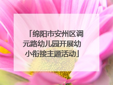 绵阳市安州区调元路幼儿园开展幼小衔接主题活动