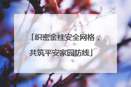 织密金桂安全网格，共筑平安家园防线