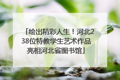 绘出精彩人生！河北238位特教学生艺术作品亮相河北省图书馆
