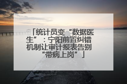 统计员变“数据医生”：宁阳前置纠错机制让审计报表告别“带病上岗”