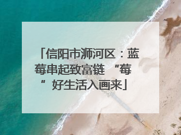 信阳市浉河区：蓝莓串起致富链 “莓”好生活入画来