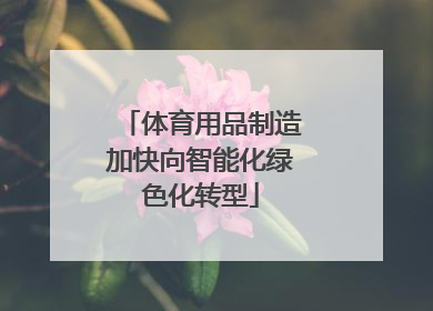 体育用品制造加快向智能化绿色化转型