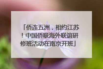侨连五洲，相约江苏！中国侨联海外联谊研修班活动在南京开班