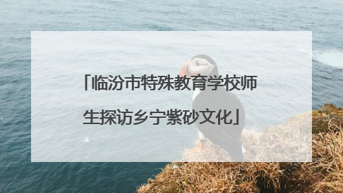 临汾市特殊教育学校师生探访乡宁紫砂文化