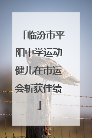 临汾市平阳中学运动健儿在市运会斩获佳绩