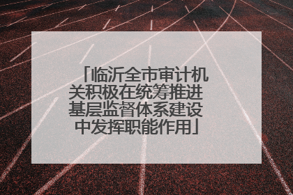 临沂全市审计机关积极在统筹推进基层监督体系建设中发挥职能作用