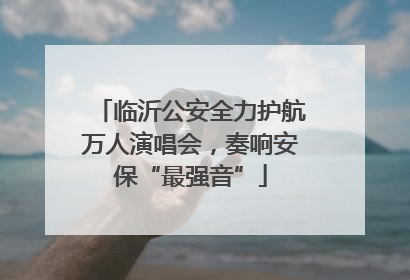 临沂公安全力护航万人演唱会，奏响安保“最强音”