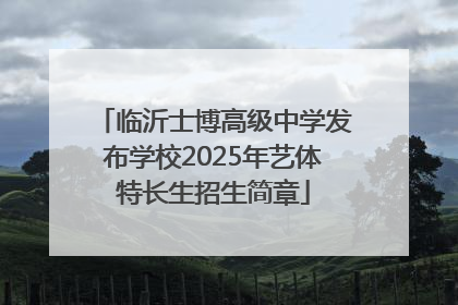临沂士博高级中学发布学校2025年艺体特长生招生简章