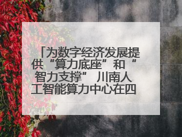 为数字经济发展提供“算力底座”和“智力支撑” 川南人工智能算力中心在四川泸州启动