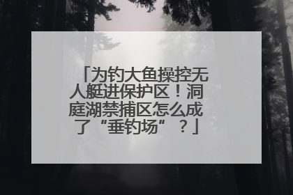 为钓大鱼操控无人艇进保护区！洞庭湖禁捕区怎么成了“垂钓场”？