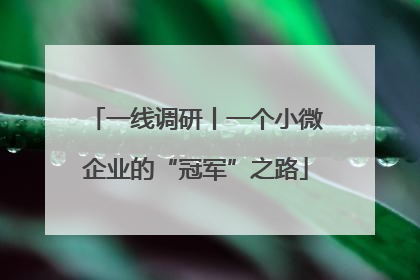 一线调研丨一个小微企业的“冠军”之路