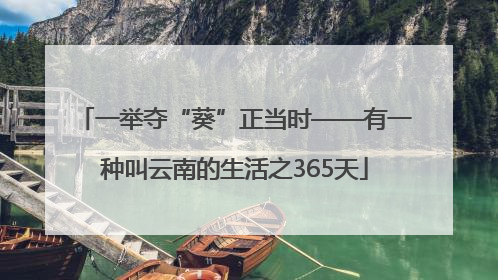 一举夺“葵”正当时——有一种叫云南的生活之365天