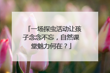 一场探虫活动让孩子念念不忘，自然课堂魅力何在？