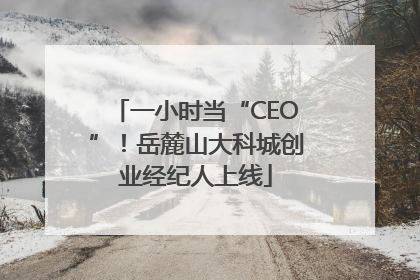 一小时当“CEO”！岳麓山大科城创业经纪人上线