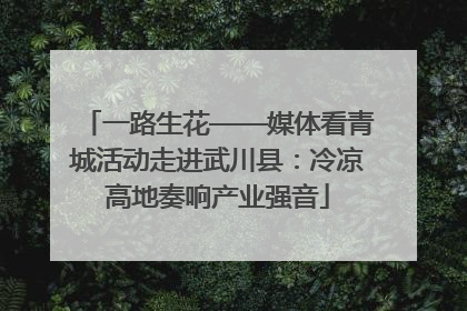 一路生花——媒体看青城活动走进武川县：冷凉高地奏响产业强音