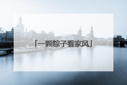 一颗粽子看家风