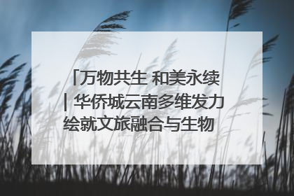 万物共生 和美永续｜华侨城云南多维发力 绘就文旅融合与生物多样性保护新图景