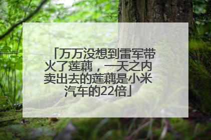 万万没想到雷军带火了莲藕，一天之内卖出去的莲藕是小米汽车的22倍