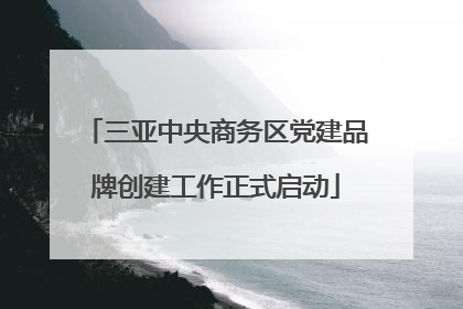 三亚中央商务区党建品牌创建工作正式启动