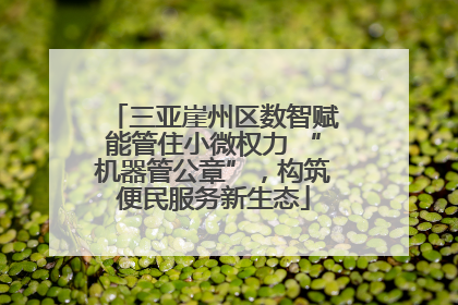 三亚崖州区数智赋能管住小微权力 “机器管公章”，构筑便民服务新生态