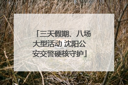 三天假期、八场大型活动 沈阳公安交警硬核守护
